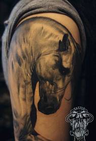 красни згодан класични црно-бели узорак тетоважа коња