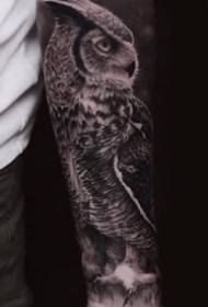 Owl enxulumene neseti ye-9 emnyama yoyilo lwe tattoo yoyilo