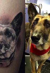 XI canis pastorius Exemplum tattoo