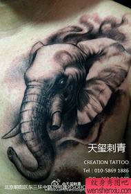 mužské hrudi divoký slon tetování vzor
