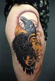 добар сет великих тетоважа црне вране дјелује