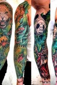 Баиле животињске тетоваже разне скице градијентне тетоваже боје Баиле узорак тетоваже животиња