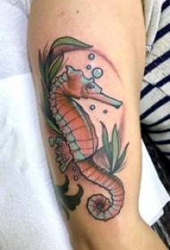 mau kaikamahine ma ka lima i kālai wai watercolor sketch creative science hippocampus animal tattoo kiʻi