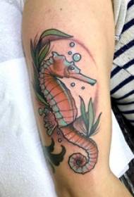 wasichana juu ya mkono walijenga watercolor mchoro ubunifu picha ya hippocampus tattoo ya wanyama