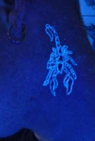 muundo wa toni ya scorpion fluorescent