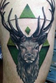 麋 antler tattoo anuwai ya mchoro wa tattoo iliyochorwa 麋 muundo wa tattoo ya antler