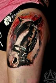 një shumëllojshmëri e dizajnit të personalitetit krijues, plot model tatuazhesh me kalë kafshësh