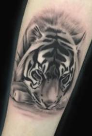 set grigio nero di modelli di tatuaggi di avatar animali da apprezzare