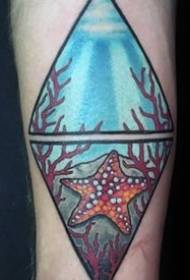 Модел за тетоважа со морска _везда _9 шема на тетоважи со животинска fishвезда работи