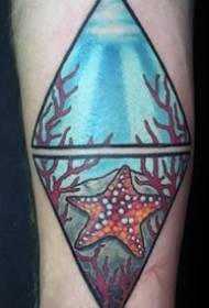 Starfish tattoo model _9 ცხოველთა starfish tattoo ნიმუში მუშაობს