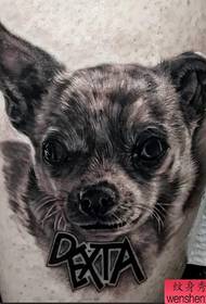 consigliato un modello di tatuaggio ritratto di cucciolo
