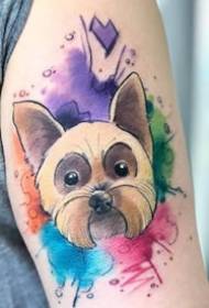 Tatuaggio animale del fumetto dell'acquerello - disegni di tatuaggio animale dell'acquerello del fumetto di 9 colori funziona