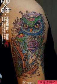 braccio popolare modello di tatuaggio gufo di colore molto bello