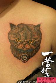 Modèle de tatouage de chat tatoué fille