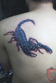 Tianbao Po needle tattoo shop tattoo work: Scorpion tattoo pattern