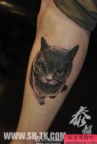 klasszikus fekete-fehér macska tetoválás minta fiú lába