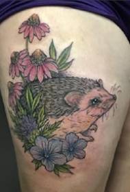 Hedgehog Tattoo: Sekelompok gambar tato landak kecil yang lucu untuk dinikmati