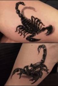scorpion Larawan nga tattoo 9 malimbungon ug malalangon nga laraw sa tattoo nga scorpion