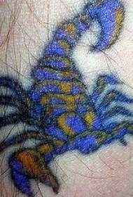 pola tattoo kalajengking biru