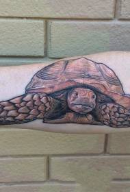 ζωηρό μοτίβο τατουάζ χελωνών