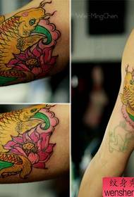 კარგია შიგნით მკლავი ფერადი პატარა squid tattoo ნიმუში