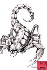 Matunzio ya Matunzio ya 520: Picha ya picha ya Scorpiontattoo