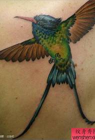 de volta un clásico popular un estándar de tatuaxe de aves
