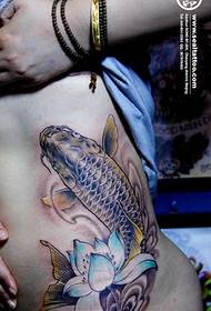 mage populära bläckfisk lotus tatuering mönster