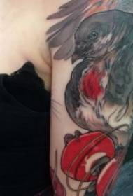 მტრედი ტატუების ნიმუში 10 tattoo ფრინველის მტრედი თემა tattoo ნიმუში