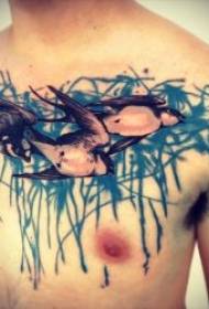tattoo swallows a variety of noisy active swallow tattoo designs