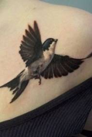 sada živých a krásných jednoduchých linií tetování černé a bílé šedé stylu žihadlo trik ptačí tetování vzoru