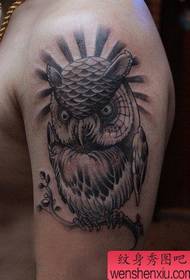 як наққоши tattoo owl мусаллаҳ кунед