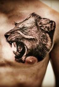 Animal tattoo pattern 9 pieces of animal tattoos in various parts of the body