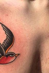 a variety of beautiful swallow tattoo designs