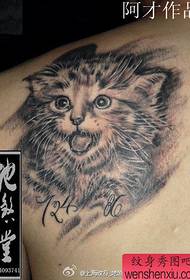 pola tato kucing kucing sing apik