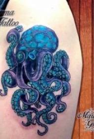 hobotnica tetovaža vzorec različne luštne in mehke vzorce tetovaže hobotnice