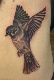 Tattoo bird små og søte spurve svelger og andre fugler tatovering design