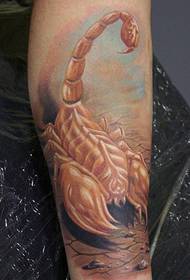 leg popular classic European and American color scorpion tattoo pattern