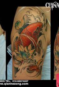 рака убаво убава боја лигњи лотос шема тетоважа