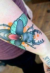 earm prachtige pop-up lytse beetle tatoetmuster