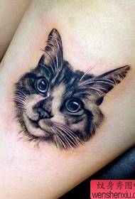 skönhet ben katt avatar tatuering mönster