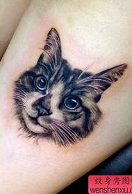 beauty legs cat avatar tattoo pattern