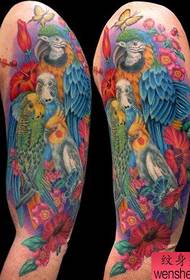 brazo popular clásico color tatuaje patrón de cuervo