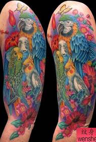 arm popular classic color crow tattoo pattern