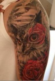 Tattoo owl picture Modello di tatuaggio soffice civetta soffice piuma