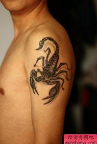 gutter armer populært klassisk skorpion tatoveringsmønster