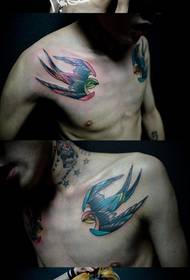 modello di tatuaggio popolare piccolo rondine classico petto maschile