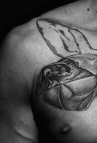 Europski klasični uzorak tetovaže na životinjama
