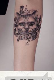 krah popullor modeli klasik i tatuazheve të zeza dhe të bardha të maceve