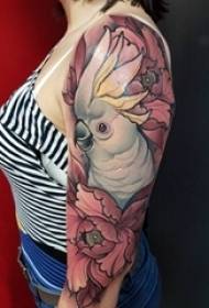 lány karral festett irodalmi virágokkal és kis állati papagáj tetoválás képekkel